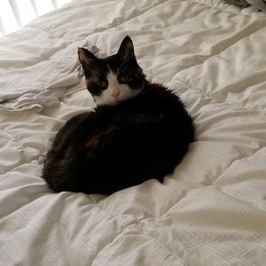 Meet your Posher, Michele